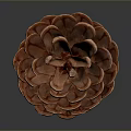Red Brown Layered Pine Cone Shaped Dessert On Dark Background Surface