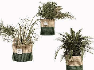 Decorative Woven Baskets with Green and Beige Stripes Holding Various Plants with Tags 3d model