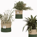 Decorative Woven Baskets with Green and Beige Stripes Holding Various Plants with Tags