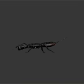 Modern Scorpion Beetle Vinegar Scorpion 3d model
