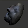 Realistic Gorilla Head Portrait With Orange Eyes And Textured Fur On Neutral Gray Background