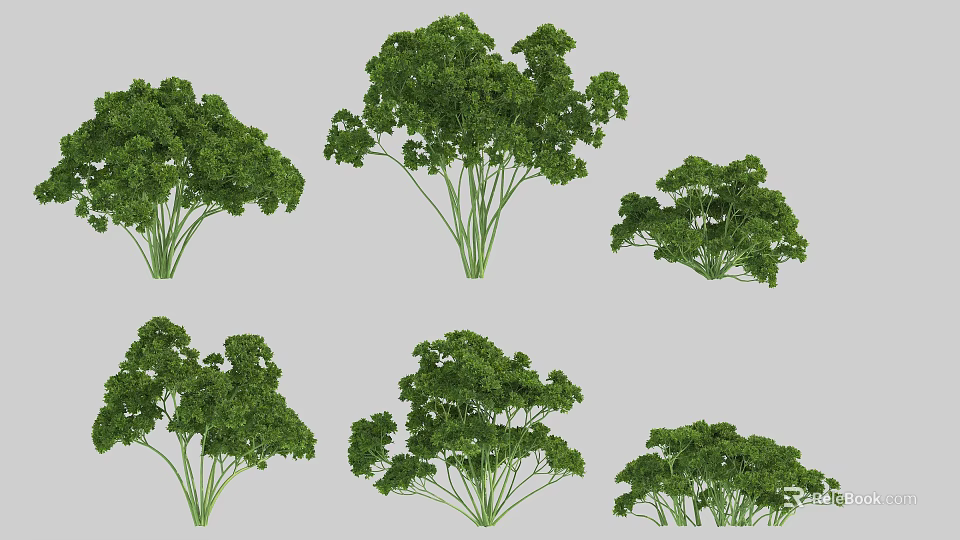Fresh Green Parsley Vegetables With Various Bunch Sizes And Lush Healthy Leaves 3d model 