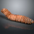 Brown Long Segmented Caterpillar on Dark Gray Background with Reflection 3d model