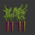Vibrant Colorful Carrots as Agricultural Crop With Green Tops and Various Hues
