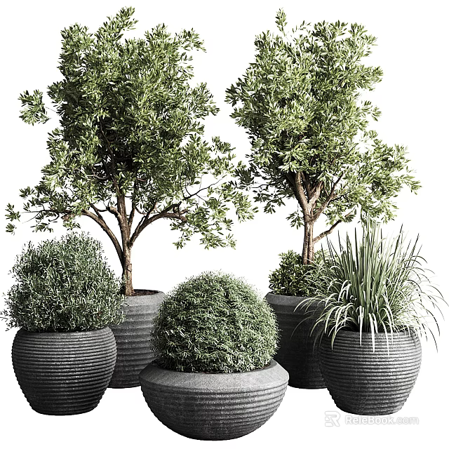 Bonsai Potted Plants With Leafy Trees Round Shrubs And Grassy Plants In Textured Dark Pots 3d model 