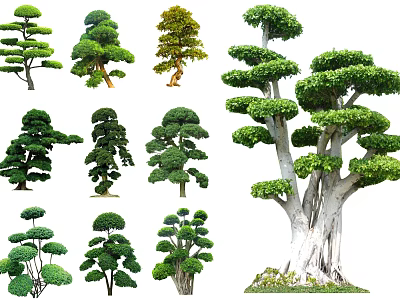 Various Pruned Arbor Trees With Different Shapes And Lush Green Foliage 3d model