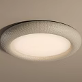 Round Ceiling Light With Textured Surface And Soft White Illumination In Modern Design 3d model
