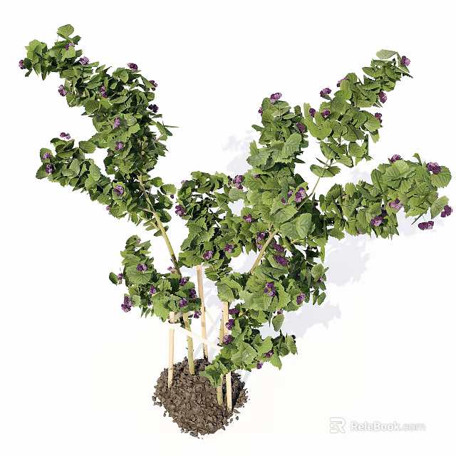 Lush Green Clustered Plants With Small Purple Flowers And Woody Stems Growing In Soil 3d model 