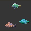 Fish Freshwater Fish Sea Fish Animal Game Animal Cartoon Animal Realistic Animal 3d model