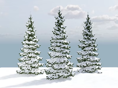 Three Snow Covered Trees Against Blue Sky With White Clouds And Snowy Ground 3d model