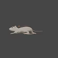 Detailed Realistic Gray And White Mice Figurines With Lifelike Features On Black Background