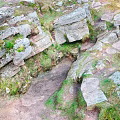 Rustic Wood And Stone Materials In Outdoor Landscape With Green Moss And Rocks