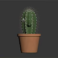 Cute Cartoon Cactus Scene With Playful Eyes In Terracotta Flower Pot