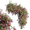 Lush Hanging Vines With Purple Flowers And Green Leaves For Decoration
