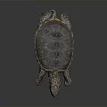 Turtle With Black And Orange Patterned Shell Spotted Head And Limbs On Dark Background 3d model