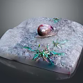 Brown Snail Crawling On Gray Square Stone With Fresh Green Grass