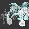 Green Potted Houseplants With Heart Shaped And Feathery Leaves In Striped Planters