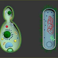 Medical Imaging Device Showing Microorganism Detailed Structure View And Analysis