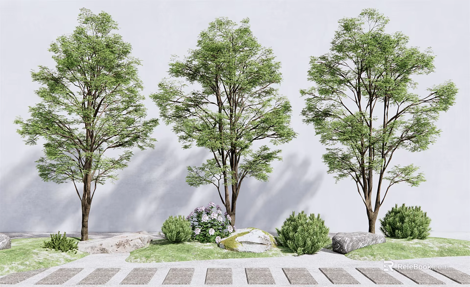 Tall Green Arbor Trees With Lush Foliage White Wall Background Stone Path And Shrubs 3d model 