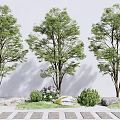 Tall Green Arbor Trees With Lush Foliage White Wall Background Stone Path And Shrubs