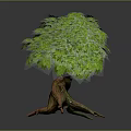 Vibrant Green Leafy Tree With Thick Brown Trunk And Exposed Roots 3d model