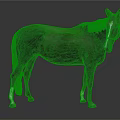 Brown Horse With White Hooves And Red Bridle In Studio Background