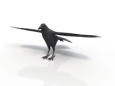 Detailed Black Crow With Spread Wings Standing On White Background Surface 3d model