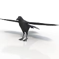 Detailed Black Crow With Spread Wings Standing On White Background Surface 3d model