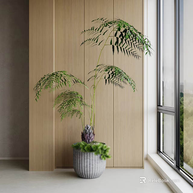 Indoor Potted Bonsai Plant With Lush Green Leaves In Gray Pot Near Window Wooden Wall 3d model 