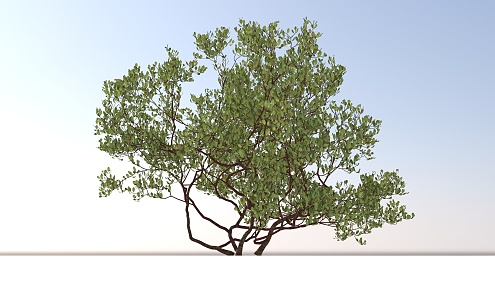 Landscape Trees and Shrubs 3d model