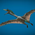 Prehistoric Flying Animal With Green Head Open Beak And Large Wings Flying In Blue Sky