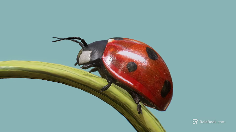 Close Up Red And Black Spotted Ladybug Perched On Green Leaf With Light Blue Background 3d model