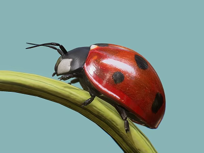 Close Up Red And Black Spotted Ladybug Perched On Green Leaf With Light Blue Background 3d model