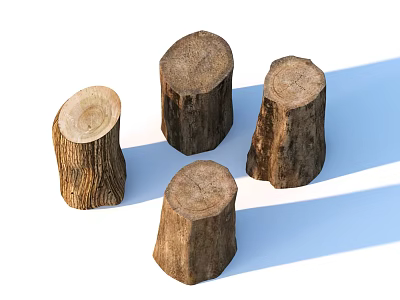 Natural Tree Stumps With Cross Section Texture And Various Sizes Arrangement 3d model