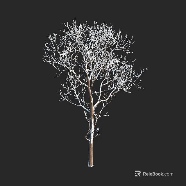 Isolated Deciduous Tree With Leafless White Branches And Brown Trunk On Black Background 3d model 
