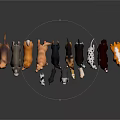 Various Dog Breeds of Different Sizes and Colors Standing on Gray Background with Reflections
