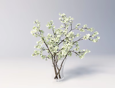 Clear Glass Vase With White Blossom Branches In Minimalist Interior Decor 3d model