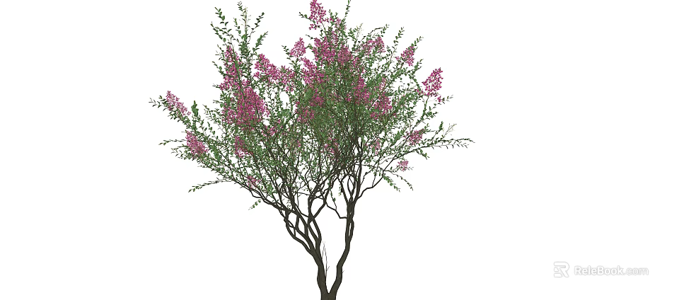 Ornamental Arbor With Pink Blossoms And Green Foliage In Outdoor Garden 3d model 