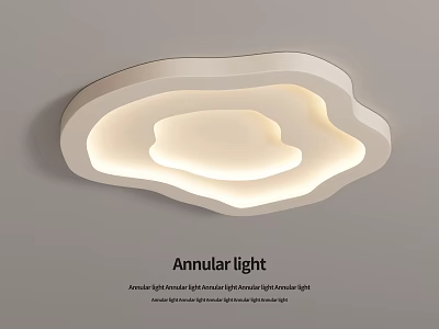 Modern Annular Ceiling Light Elegant Fashion Unique Design For Home Decor 3d model