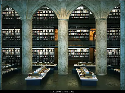 Cultural Center Interior With Arched Structure Stone Columns Bookshelves And Reading Tables Full Of Books 3d model