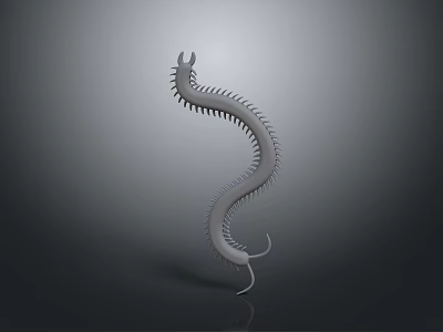 Alien Insects Sci-Fi Insects Magic Insects Strange Insects Fantasy Insects Insect Characters Game Characters 3d model