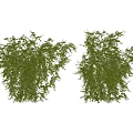 Modern Vine 3d model