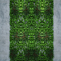 Modern Plant Wall 3d model