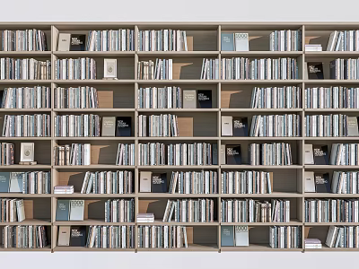 Neatly Arranged Bookshelves Filled With Books And Decorative Items In Rows 3d model