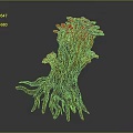 Vibrant Red Coral Like Plant with Thick Roots and Branching Structure