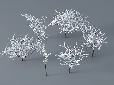 Bare Deciduous Trees With White Frost Covering On Gray Background 3d model