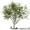 Tall Green Tree With Two People Standing And Sitting Underneath 3d model