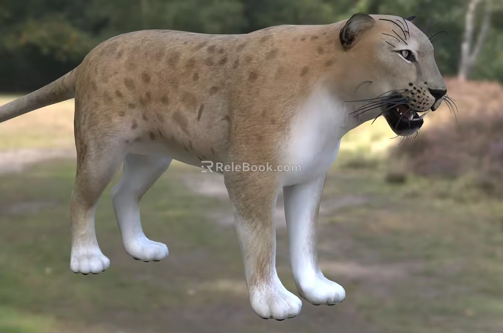 Modern Persian Leopard Anatolian Leopard Caucasian Leopard Animal Creatures 3d model
