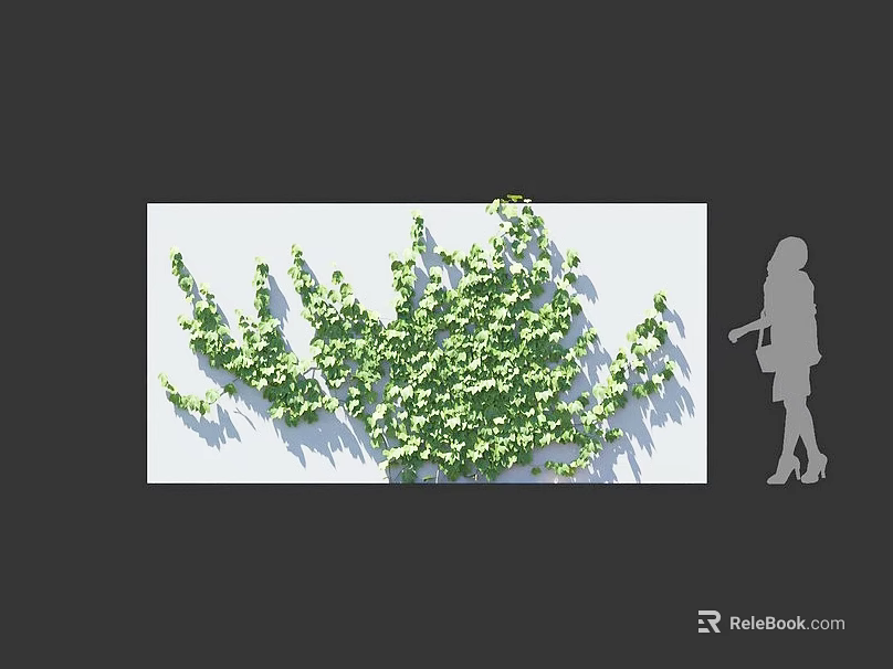 Lush Green Vine With Dense Leaves Covering White Wall And Woman Silhouette 3d model 