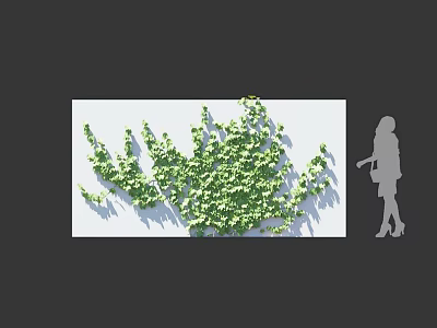 Lush Green Vine With Dense Leaves Covering White Wall And Woman Silhouette 3d model